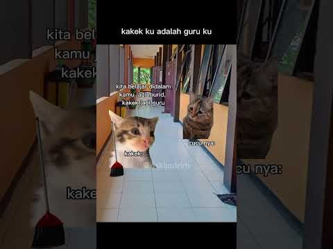kakek ku guru ku❤#meme #memekucing #memesvidio