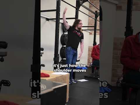 Shoulders rotate! Make sure to give them things they like to do #shoulders #mobility