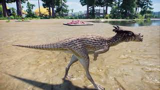 Pachycephalosaurus