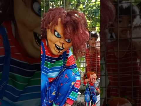 CHUCKY short || now your mine little girl🎃🎃🎃#youtubeshorts #dingdong