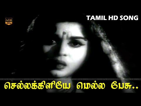 செல்லக்கிளியே மெல்லப் பேசு பாடல் | பெற்றால்தான் பிள்ளையா | M. S. Viswanathan, P. Susheela | HD Song