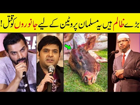 Bakri Eid is The Festival of Cruelty! Zakir Naik Destroy Kapil Sharm Statement with Logic & Evidence