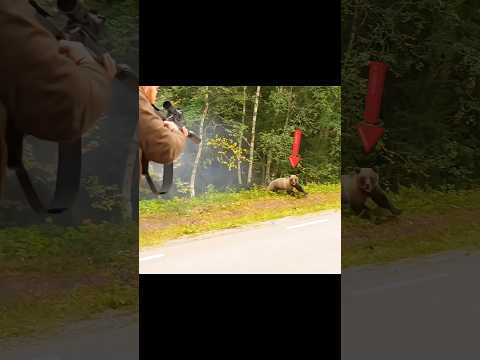 We Were NOT Ready for What Came Out of the Woods…"#AlaskaBears#BearHunting#AlaskaHunt#closecall