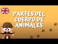 Exploring Animal Body Parts in English