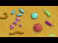 Understanding Germs and Handwashing