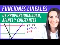 Exploring Linear Functions: Proportionality, Affine, and Constant Types