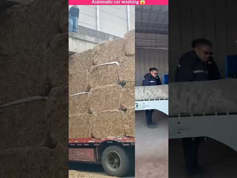 automatic car washing machine #youtube #facts #viral #trending #shorts #video