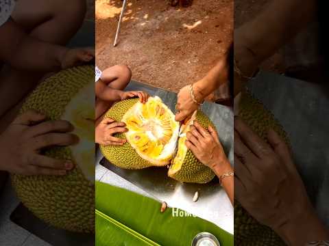வாங்க பலாப்பழம் சாப்பிடலாம் |  Seasonal Jackfruit Recipe | Evening snacks
