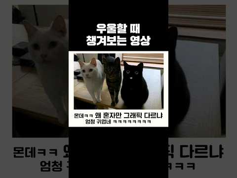 진짜 너무 사랑스러운 동물들