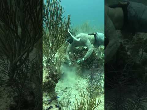 Easy Way To Catch Lobster! #fishing #spearfishing