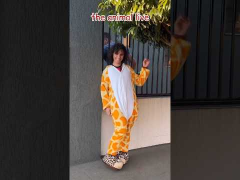 the animal girl and a hot ranger #clips #funny #funnyvideo #epic #girl #crazy #cute #ranger #boy