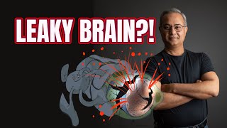 Blood Brain Barrier Health - Endothelium Focus