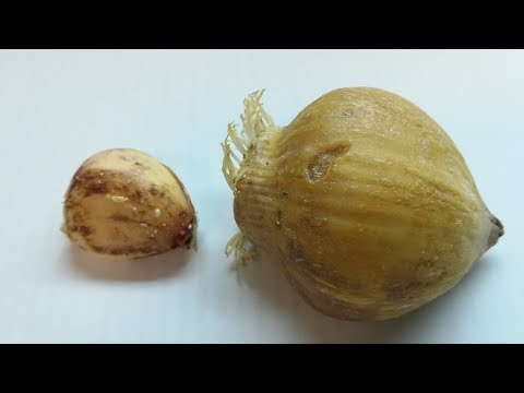 Ужасы и опасности природного земледелия. Но выход есть!