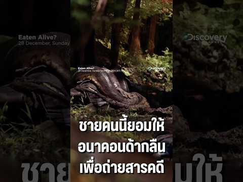ชายคนนี้ยอมให้อนาคอนด้ากลืนเพื่อถ่ายทำสารคดี #shorts #discoverychannel