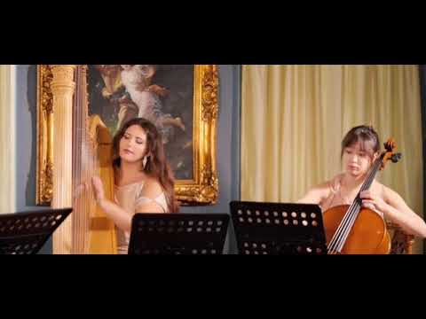 Bridgerton - Quartetto d'Archi Venezia