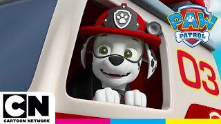 PAW PATROL | Volkan Patlaması | @cartoonnetworkturkiye