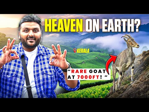 Exploring Munnar, Kerala Like Never Before || Local Food & Rare Goat || Hill Station of Kerala
