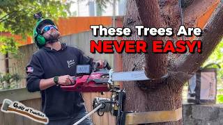 I HATE This Type of Tree SO MUCH!!