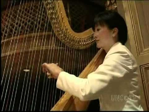 Harry Wondrous World conducted by John Williams