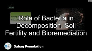 Role of Bacteria in Decomposition, Soil Fertility and Bioremediation