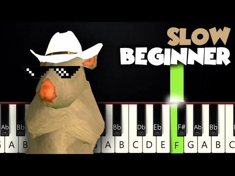 Rat Dance Meme | SLOW BEGINNER PIANO TUTORIAL + SHEET MUSIC by Betacustic