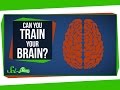 Neuroplasticity and Brain Training Insights