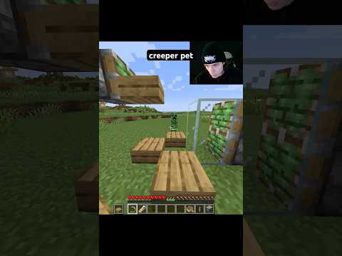 how to have a creeper pet #minecraft #minecraftshorts #gaming