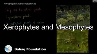 Xerophytes and Mesophytes