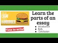 Understanding Essay Structure through Hamburger Analogy