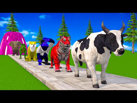 Paint & Animals Cow,Gorilla,Elephant,Lion,Tiger,Dinosaur, Fountain Crossing Transformation Cartoon