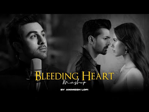 Bleeding Heart Mashup | Deewaniyat x Teri Meri | Sadness Chillout | Animesh Lofi