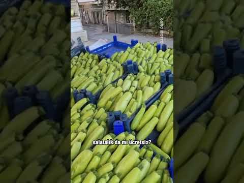 Tokat’ta bir pazarcı, kendi bahçesinde yetiştirdiği ilk mahsülleri pazarda ücretsiz dağıttı