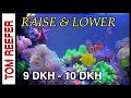 Aquarium Alkalinity and pH Management