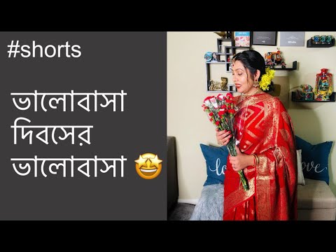 রাঁধুনীর Valentines Day যেভাবে কাটে | #Shorts 03
