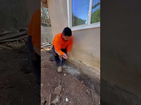 Fundacion falsa