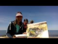 Aquatic Animals and Plants Knowledge