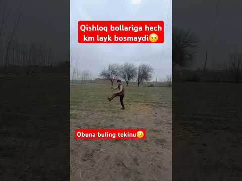 hamma ham salto otolmaydi bunaqasidab #osimliklar #rek #baki #abakan #dance #horse #sports #wrestlin