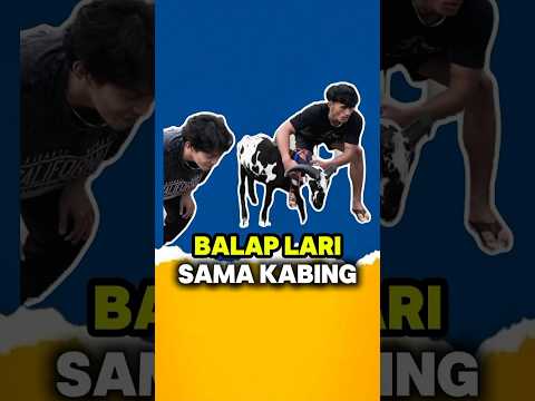 TES SPEED SAMA KAMBING#andicobra #shorts