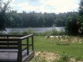 Riparian Buffers and Their Importance