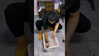 Połknął elektrycznego węgorza ⚡🐟 Sekunda później stało się coś niewiarygodnego 😱