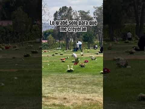 Cuando dios te manda una señal clara 😦