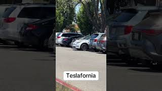 Teslas are everywhere in California #fyp #viral #tesla #california