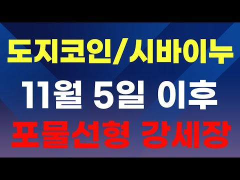 [도지코인/시바이누] 11월 5일 이후 포물선형 강세장!!