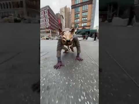 Rat and Duck