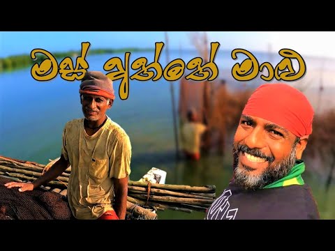 මස් අතු ධීවර රැකියාව | මෙහෙමත් මාලු ඇල්ලිල්ලක් | Traditional Fishing | @wishwatiyubaya 👣😲🎣