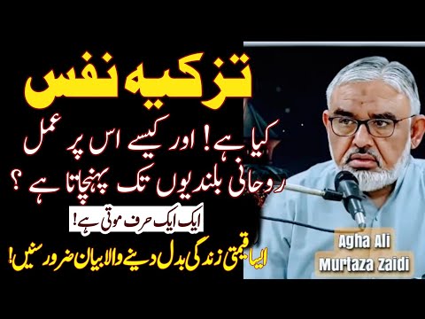 Tazkia E Nafs pr Sab se Behtreen Bayan!  | Maulana Ali Murtaza Zaidi