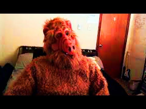 La MALDICIÓN de ALF - La Historia Real 128