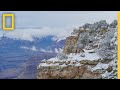 Wildlife Survival in the Grand Canyon