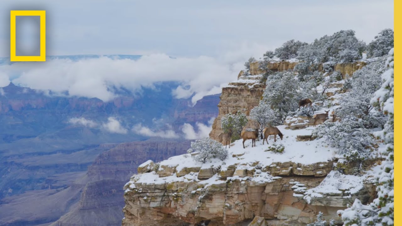 America's National Parks Trailer miniatyrbilde