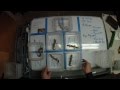 Decoding Simple Recessives with Punnett Squares